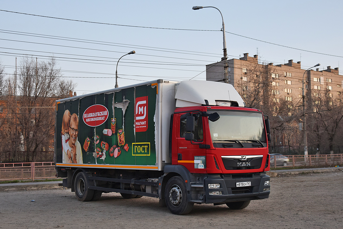 Волгоградская область, № М 818 ОУ 761 — MAN TGM 18.250
