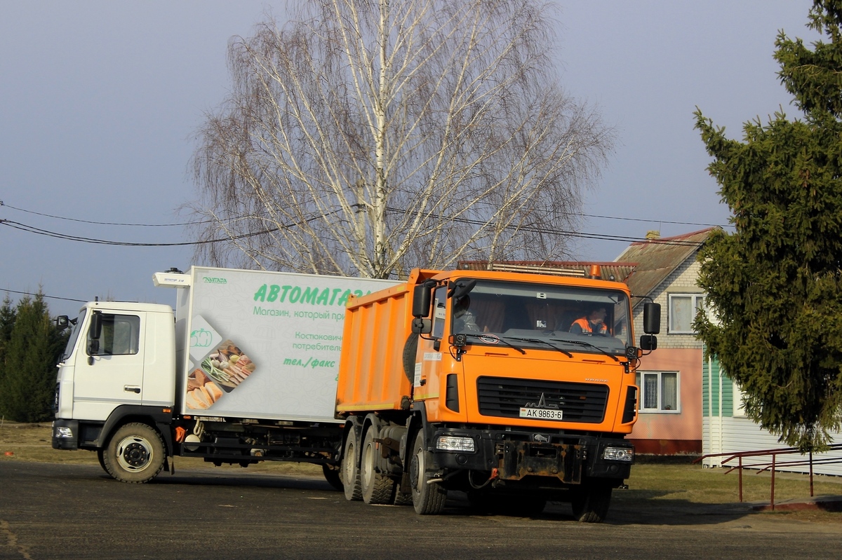 Могилёвская область, № АК 9863-6 — МАЗ-6501 (общая модель)