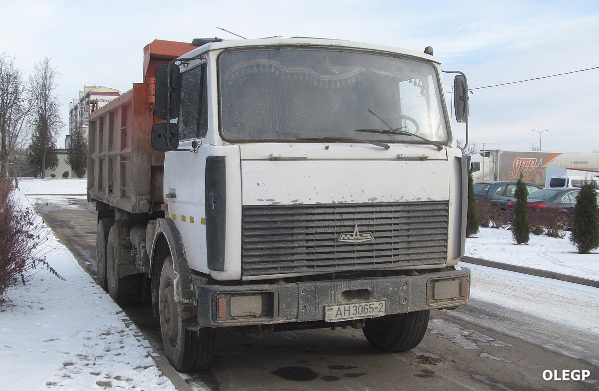 Витебская область, № АН 3065-2 — МАЗ-5516 (общая модель)