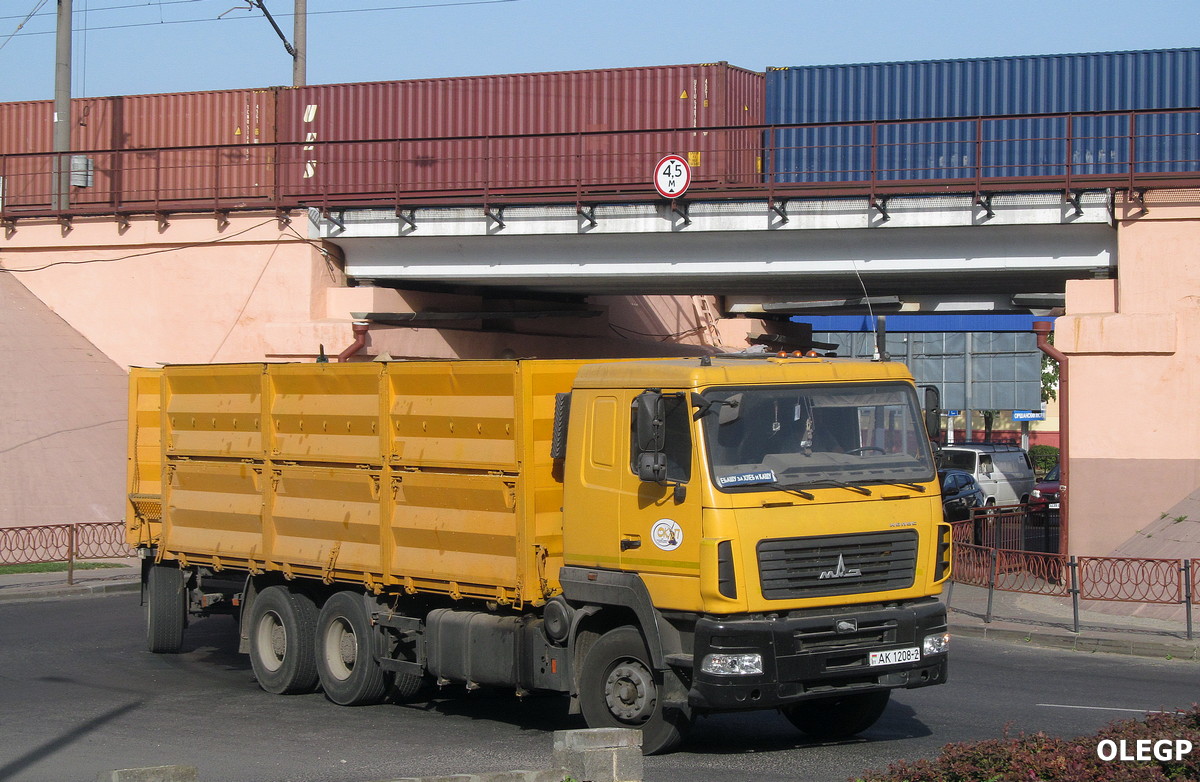 Витебская область, № АК 1208-2 — МАЗ-6501 (общая модель)