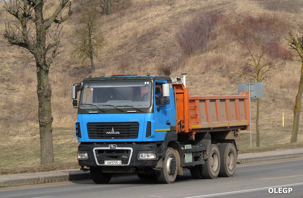 Витебская область, № АМ 9705-2 — МАЗ-650128
