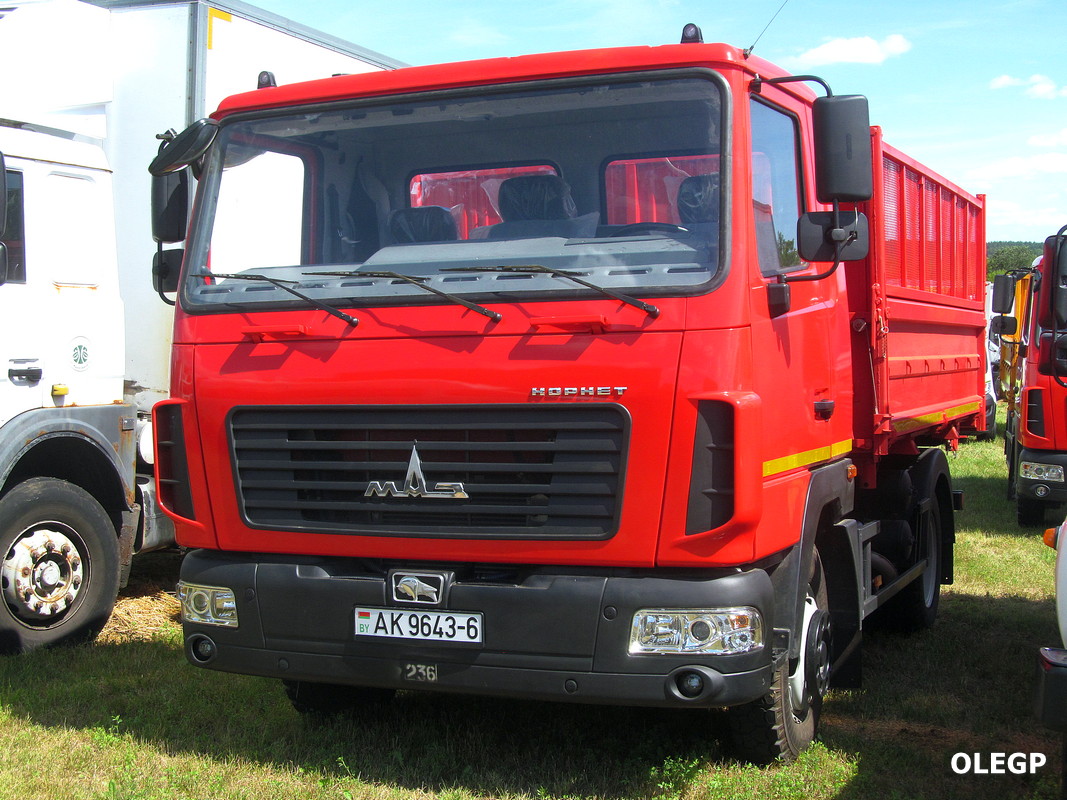Могилёвская область, № АК 9643-6 — МАЗ-4571
