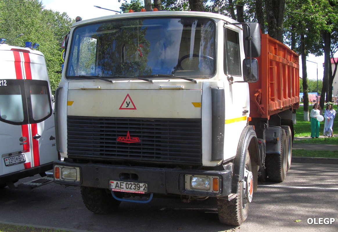 Витебская область, № АЕ 0239-2 — МАЗ-5516 (общая модель)