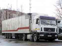 278 КБ