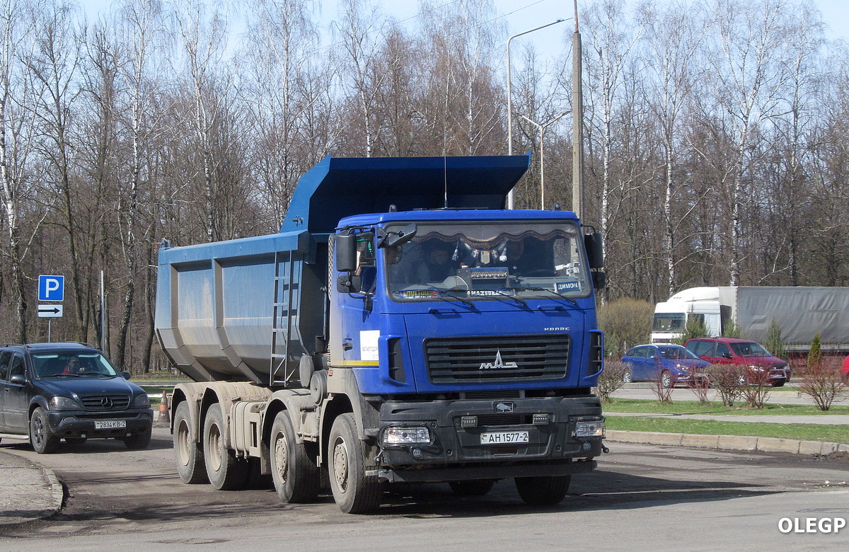 Витебская область, № АН 1577-2 — МАЗ-6516 (общая модель)
