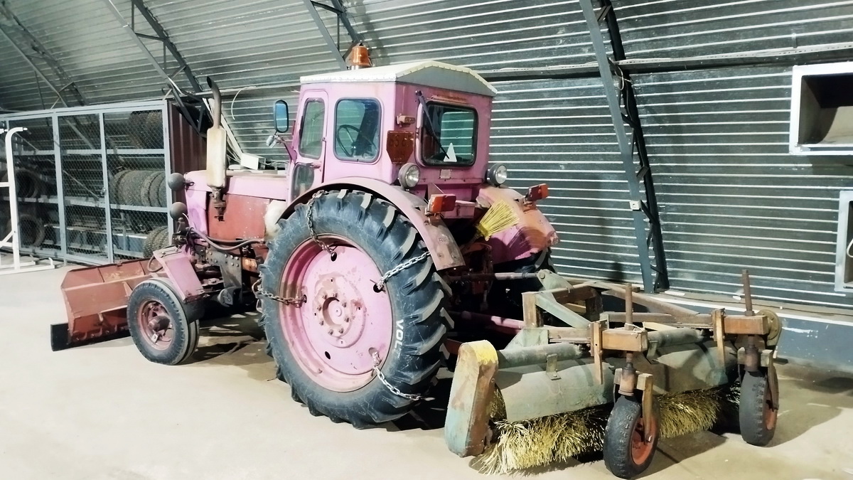 Псковская область, № 5565 ШН — Т-40АМ