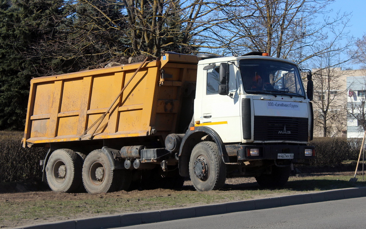 Псковская область, № М 467 МУ 60 — МАЗ-5516A5