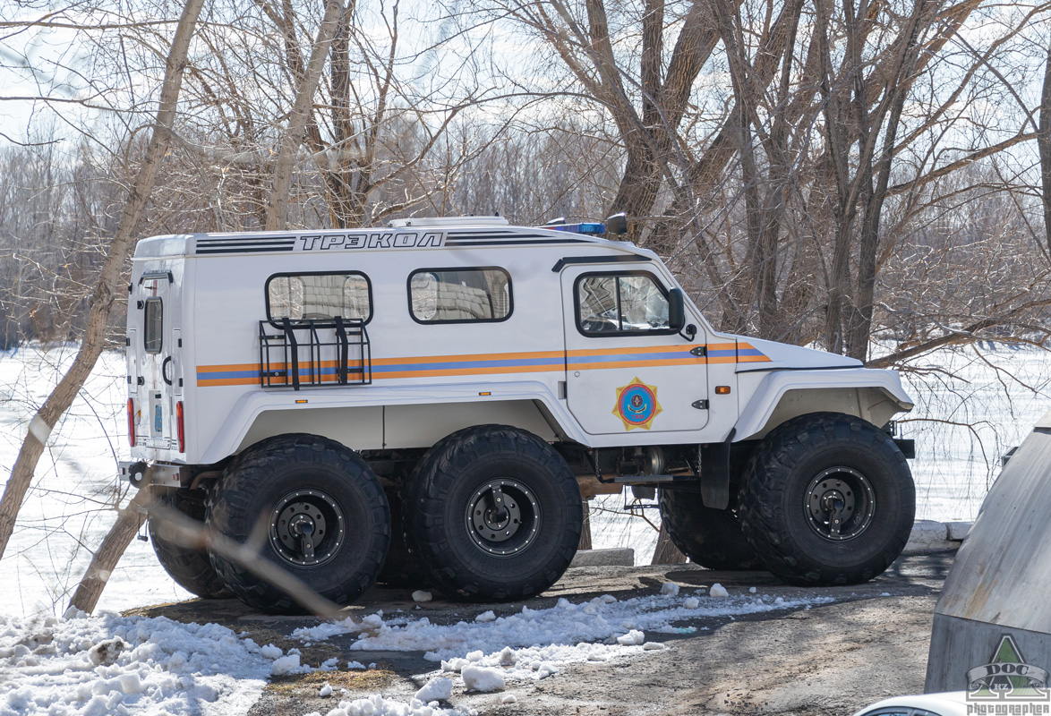 Павлодарская область, № 463 S ALD — ТРЭКОЛ-39294