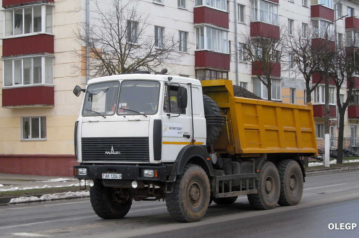 Витебская область, № АК 1204-2 — МАЗ-6517 (общая модель)