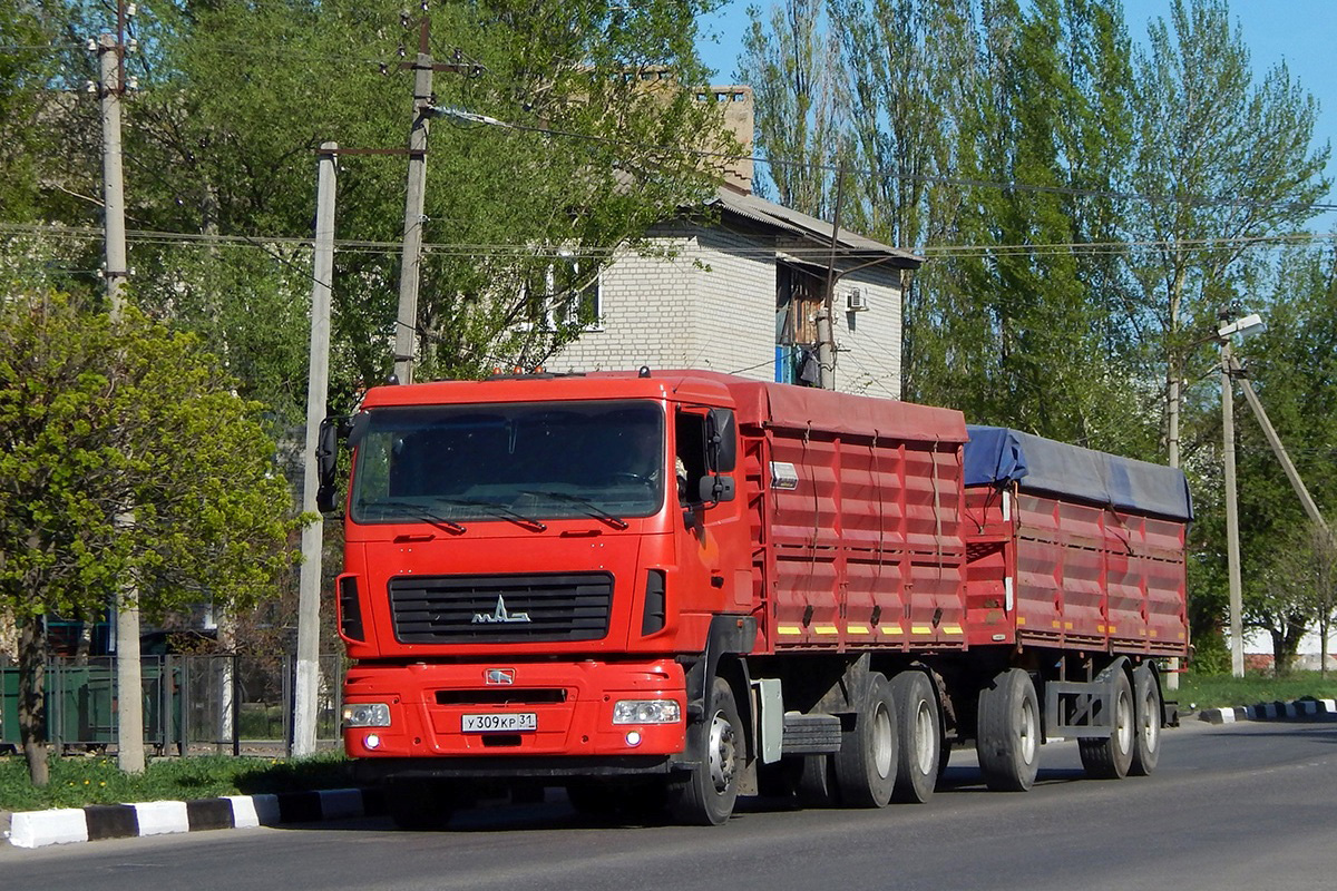 Белгородская область, № У 309 КР 31 — МАЗ-65012J
