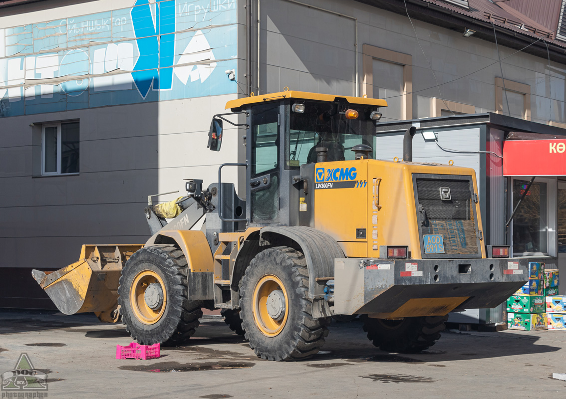 Павлодарская область, № AOD 891 S — XCMG LW300 (общая модель)