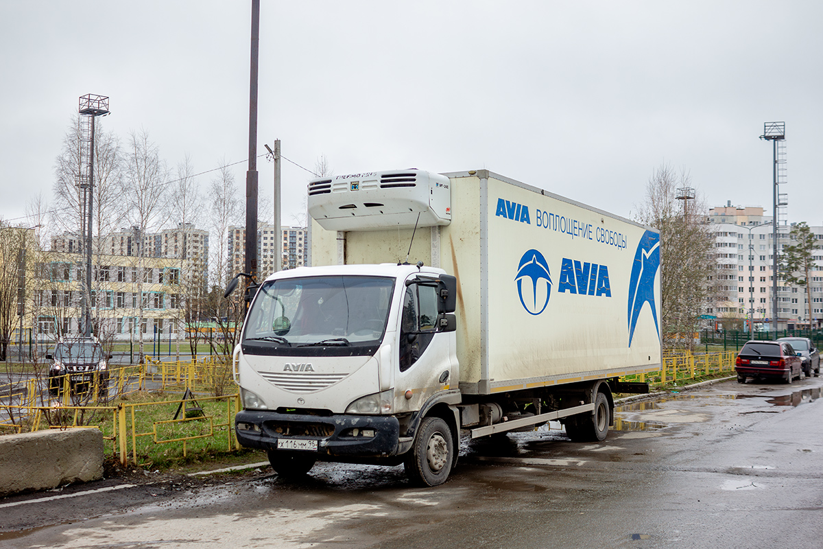 Свердловская область, № Х 116 ММ 96 — Avia D120