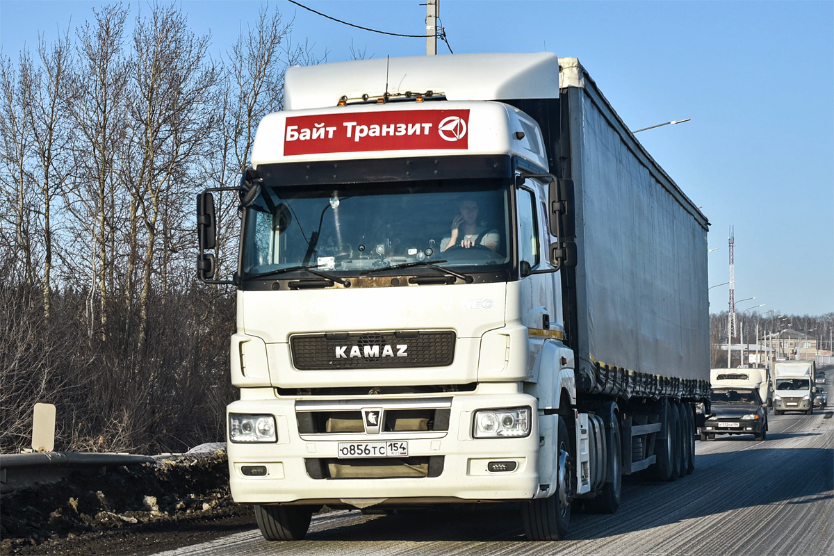 Новосибирская область, № О 856 ТС 154 — КамАЗ-5490-S5(87)