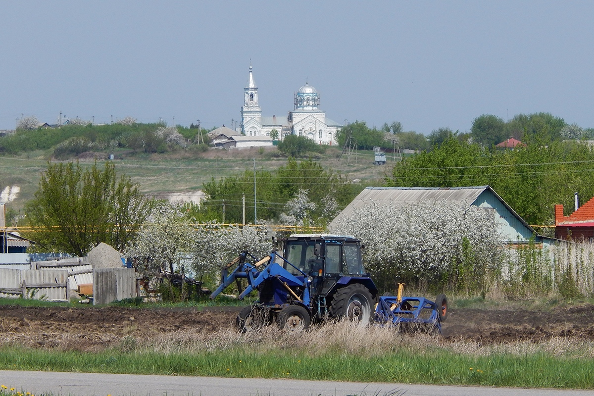 Белгородская область, № 5966 ЕК 31 — МТЗ-80; Прицепы сельскохозяйственные — Культиваторы (общая)