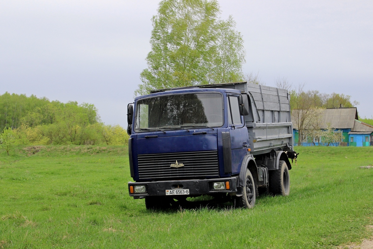 Могилёвская область, № АЕ 6563-6 — МАЗ-5551 (общая модель)