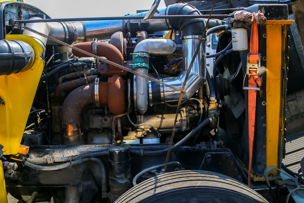 Москва, № О 359 МВ 777 — Peterbilt 359; Московская область — Фестиваль TruckDay 2024