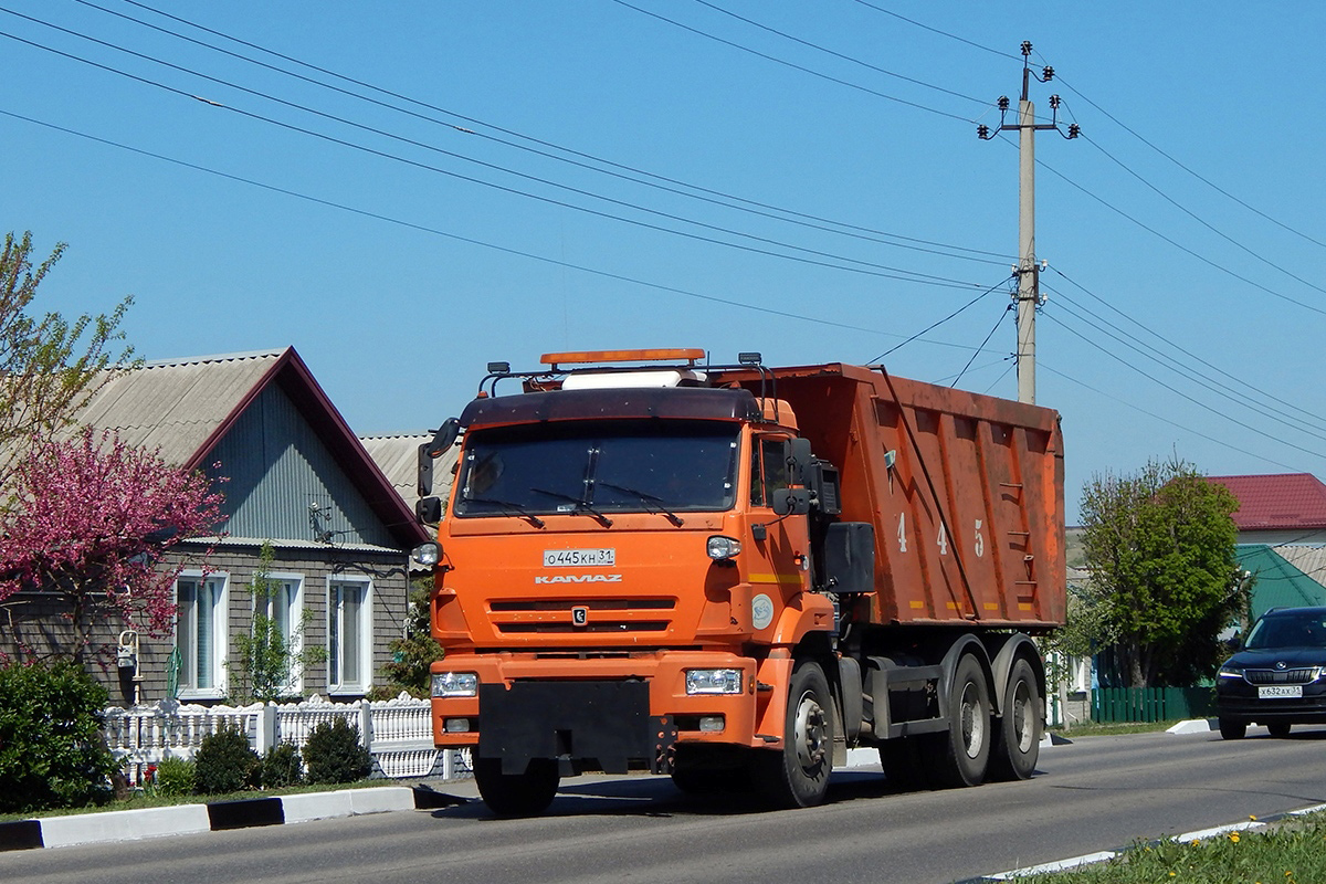 Белгородская область, № О 445 КН 31 — КамАЗ-6520-43