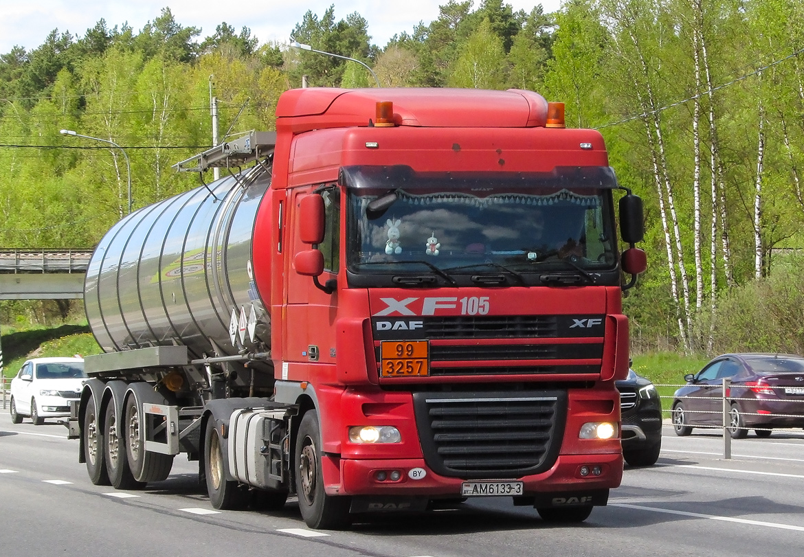 Гомельская область, № АМ 6133-3 — DAF XF105 FT