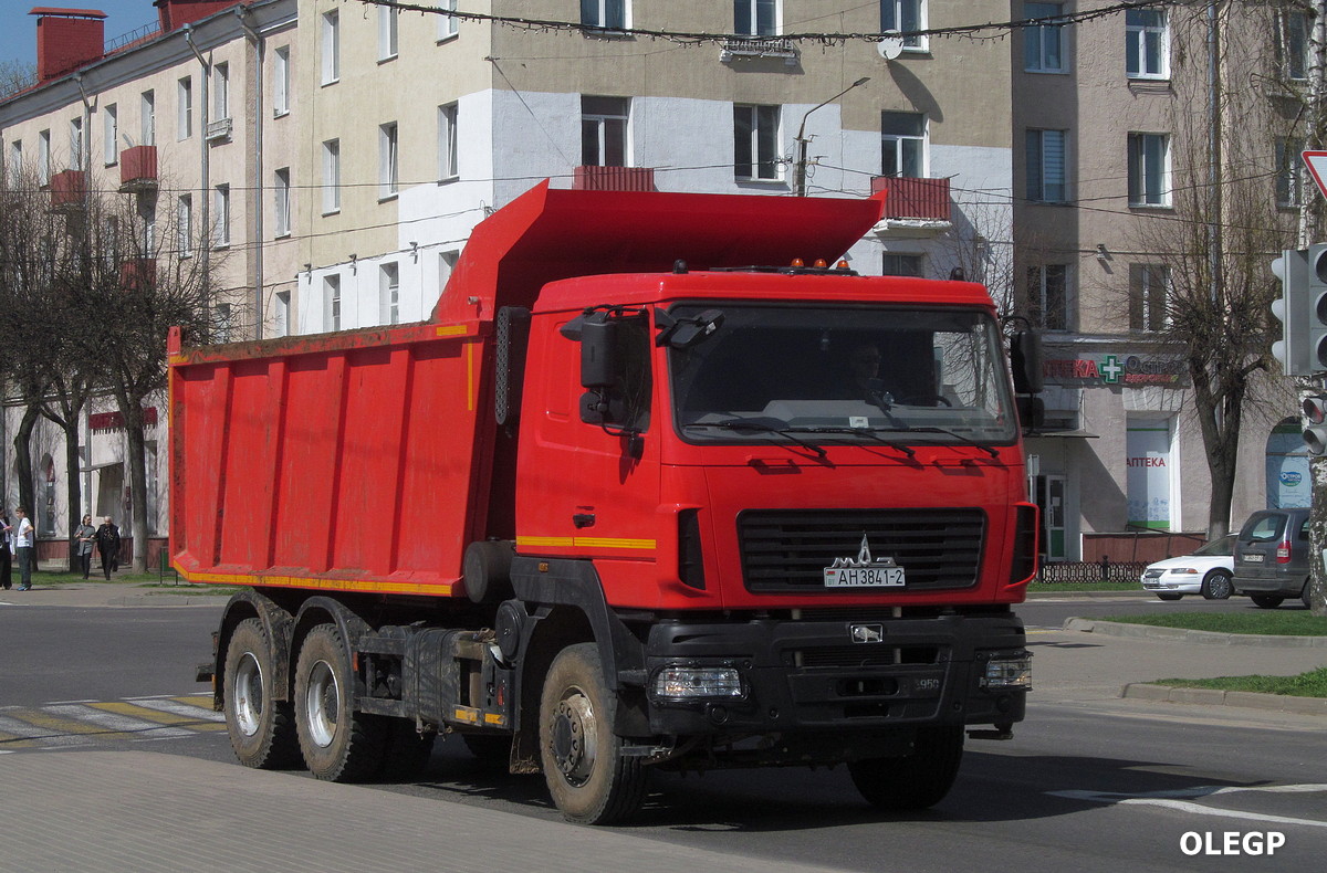 Витебская область, № АН 3841-2 — МАЗ-650128