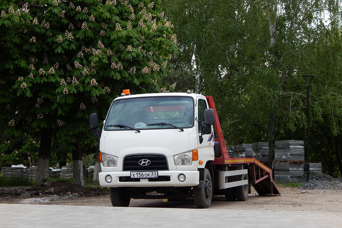 Белгородская область, № Х 156 ОК 31 — Hyundai HD65 ('2004)
