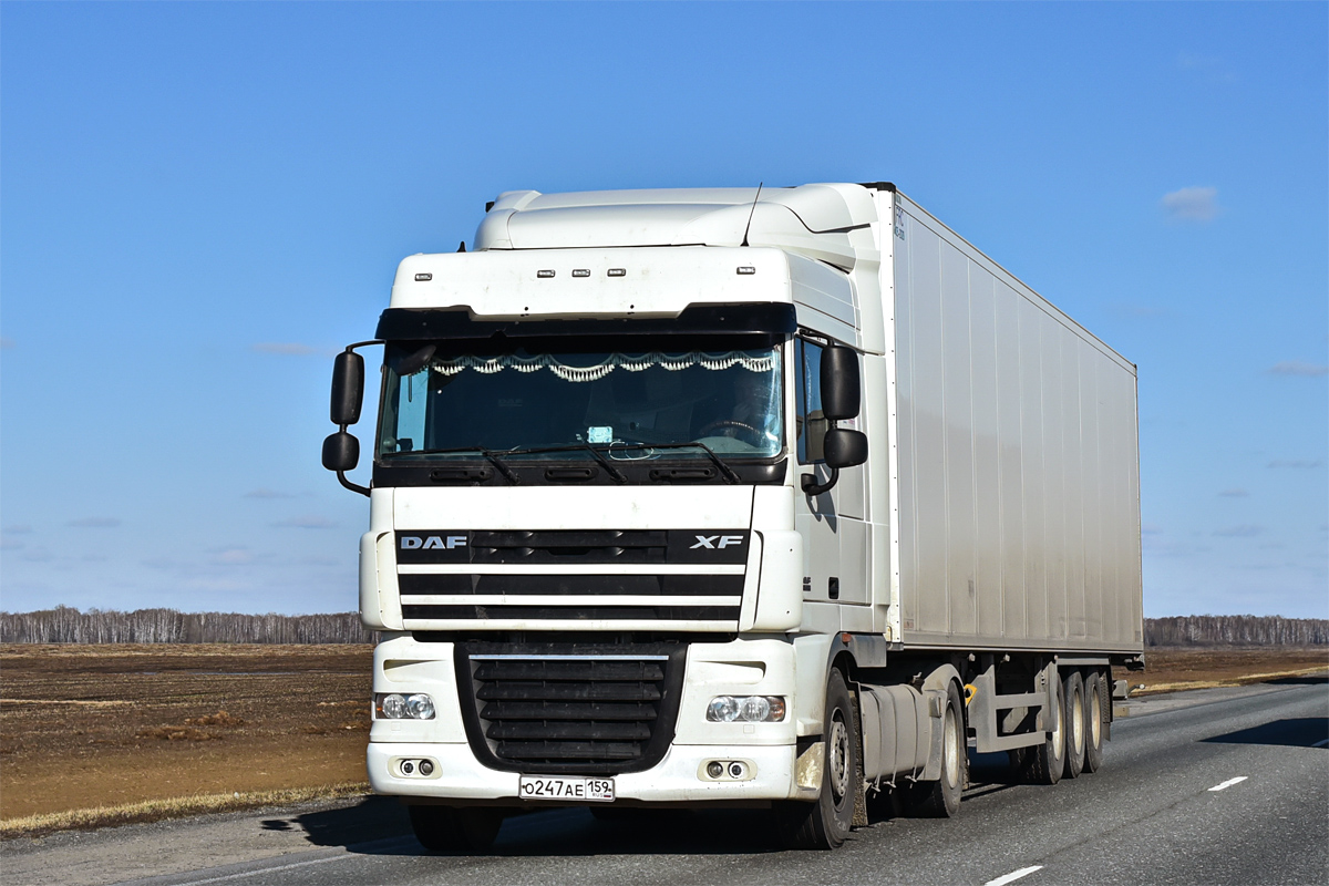 Пермский край, № О 247 АЕ 159 — DAF XF105 FT