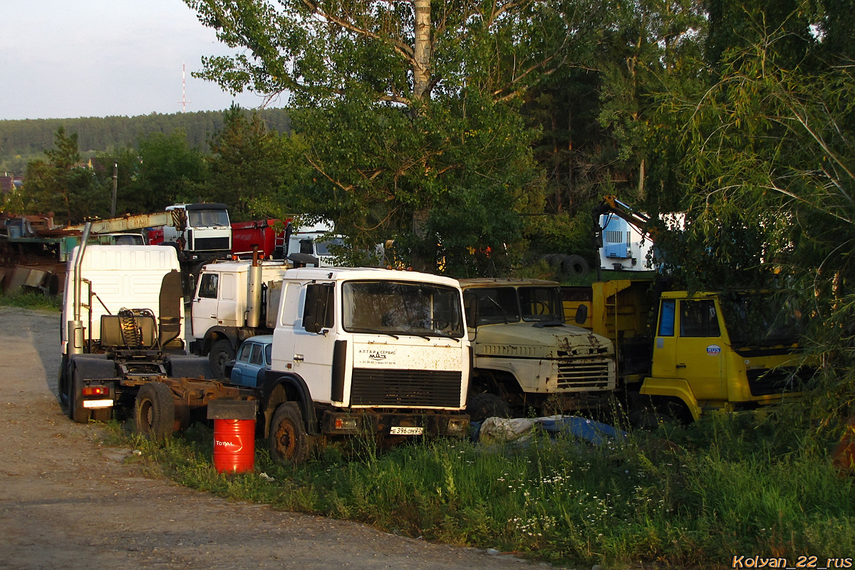 Алтайский край, № Е 396 ОМ 22 — МАЗ-53362