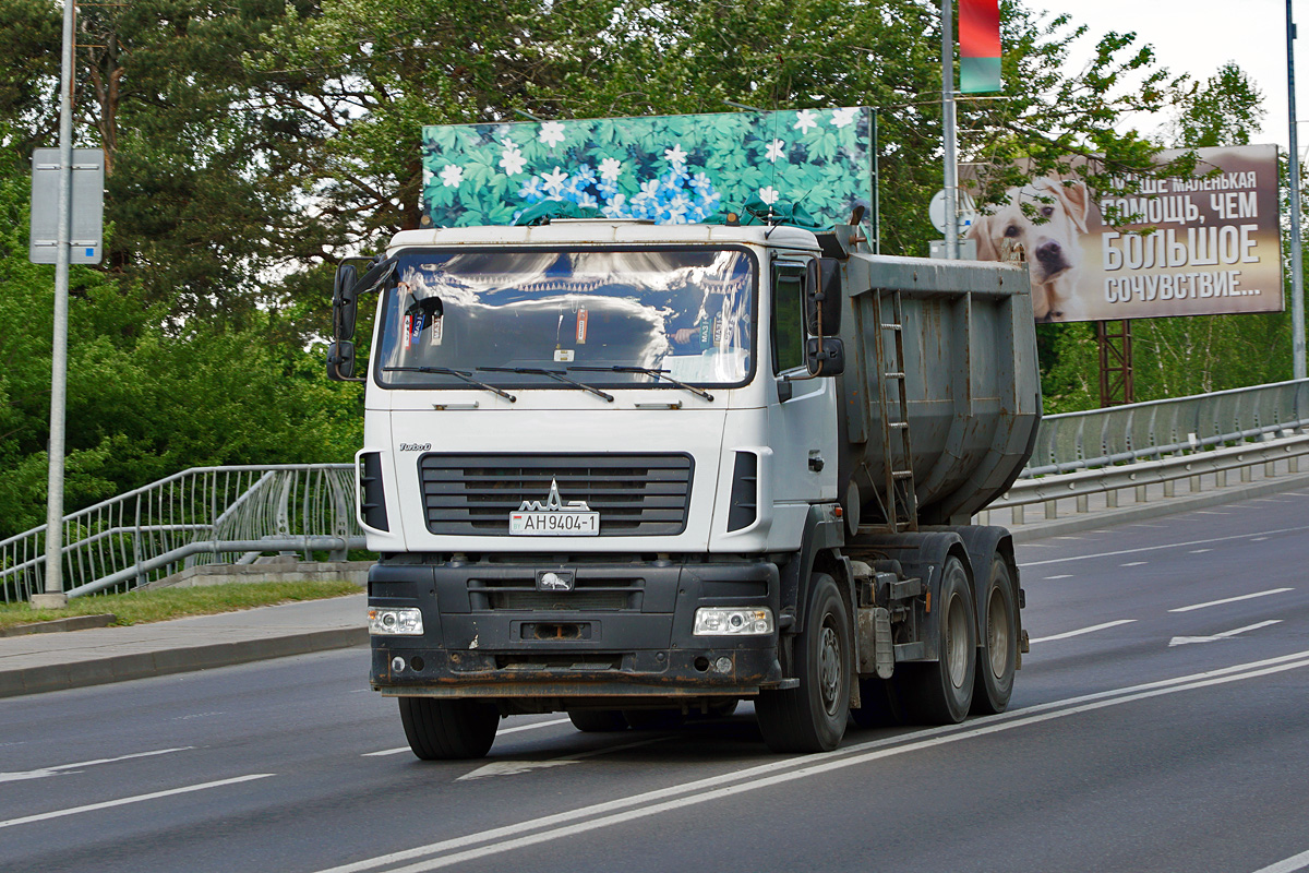 Брестская область, № АН 9404-1 — МАЗ-6501 (общая модель)
