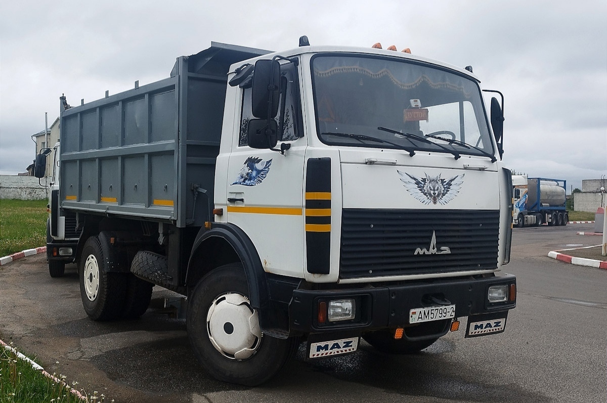 Витебская область, № АМ 5799-2 — МАЗ-5551 (общая модель)