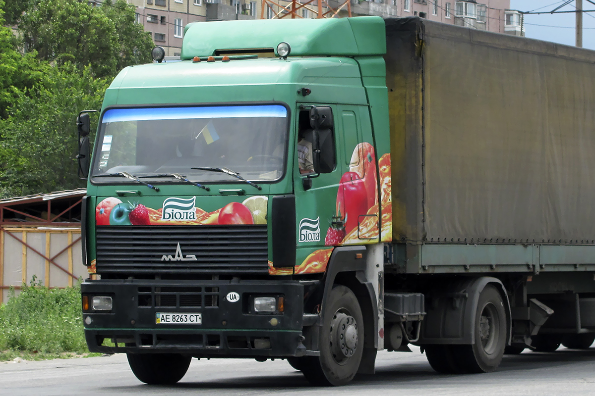 Днепропетровская область, № АЕ 8263 СТ — МАЗ-544008