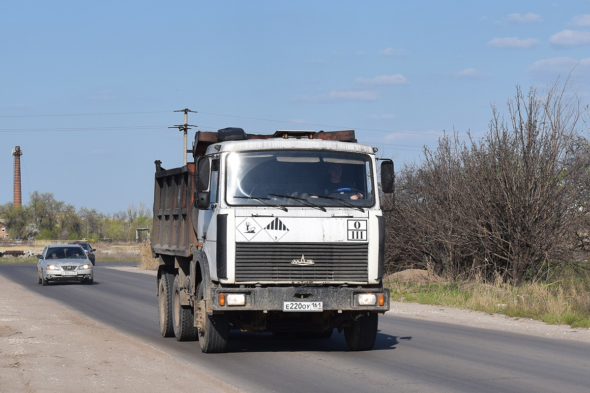 Волгоградская область, № Е 220 ОУ 161 — МАЗ-551605