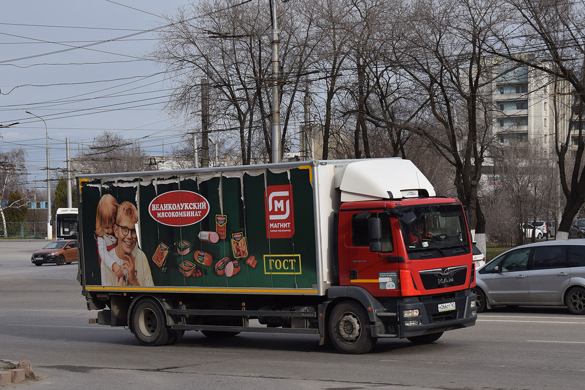 Волгоградская область, № Н 266 ОТ 761 — MAN TGM 18.250