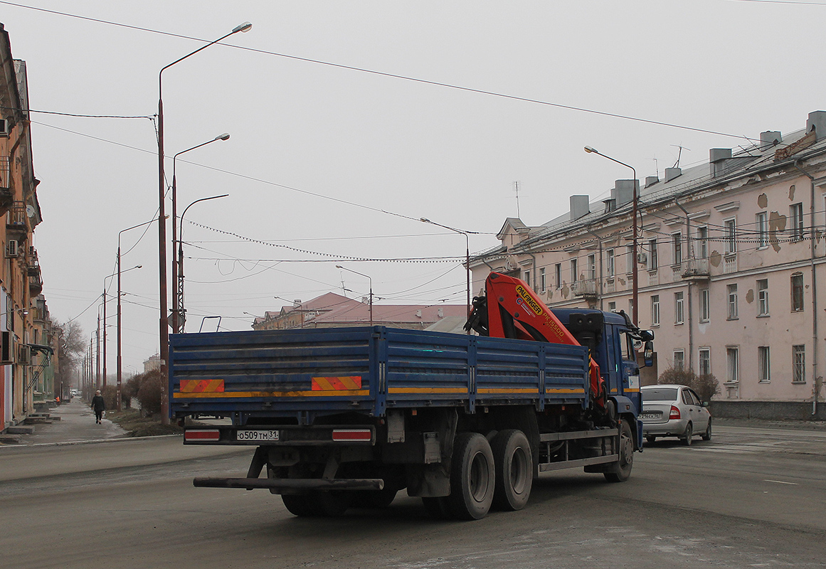Белгородская область, № О 509 ТМ 31 — КамАЗ-65117-A5(48)