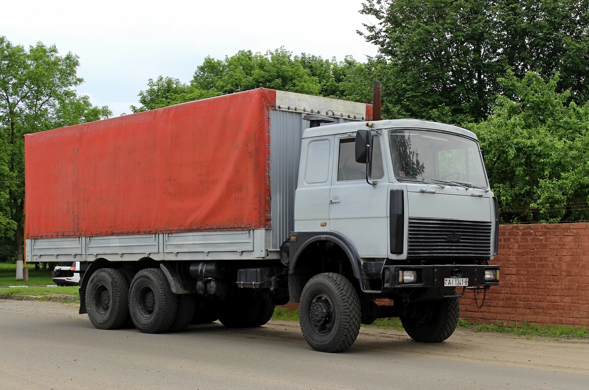 Могилёвская область, № АІ 1341-6 — МАЗ-6317 (общая модель)