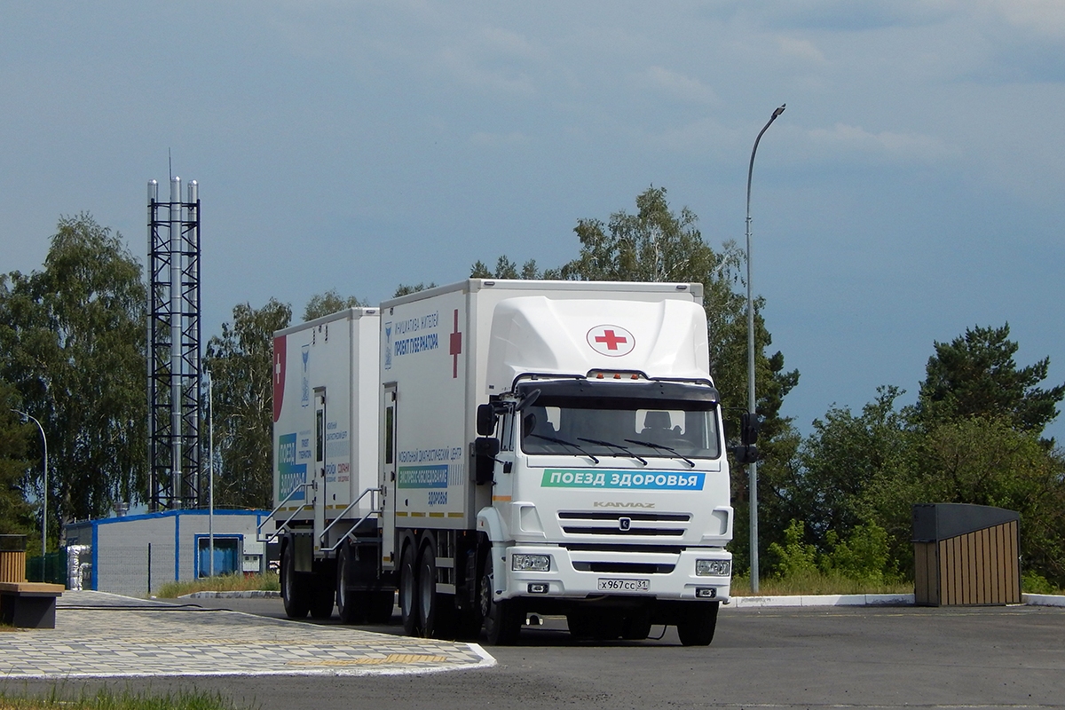 Белгородская область, № Х 967 СС 31 — КамАЗ-65115-A5(48)