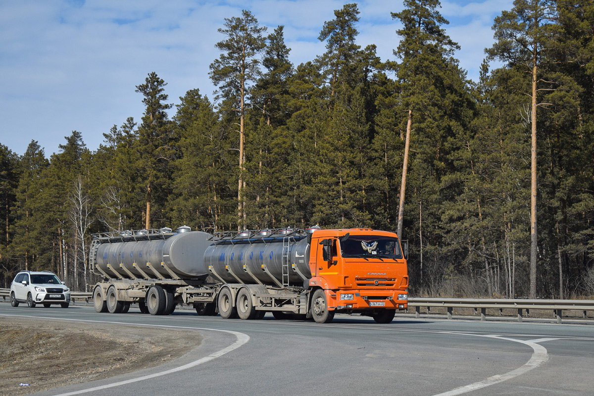 Алтайский край, № Н 367 ХА 22 — КамАЗ-65115-L4(19)