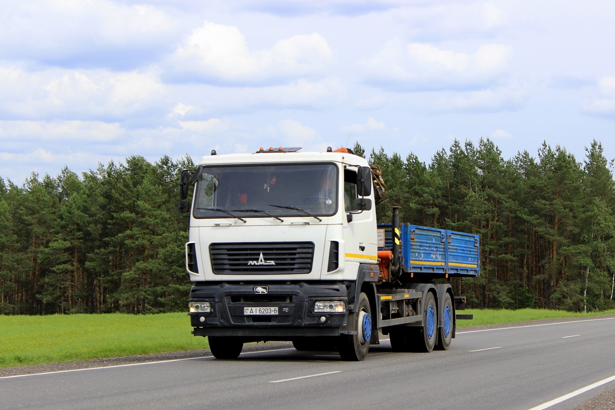 Могилёвская область, № АІ 6203-6 — МАЗ-6312 (общая модель)