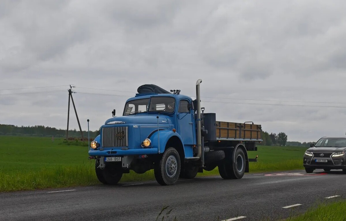 Эстония, № 246 BST — Volvo  (общая модель)