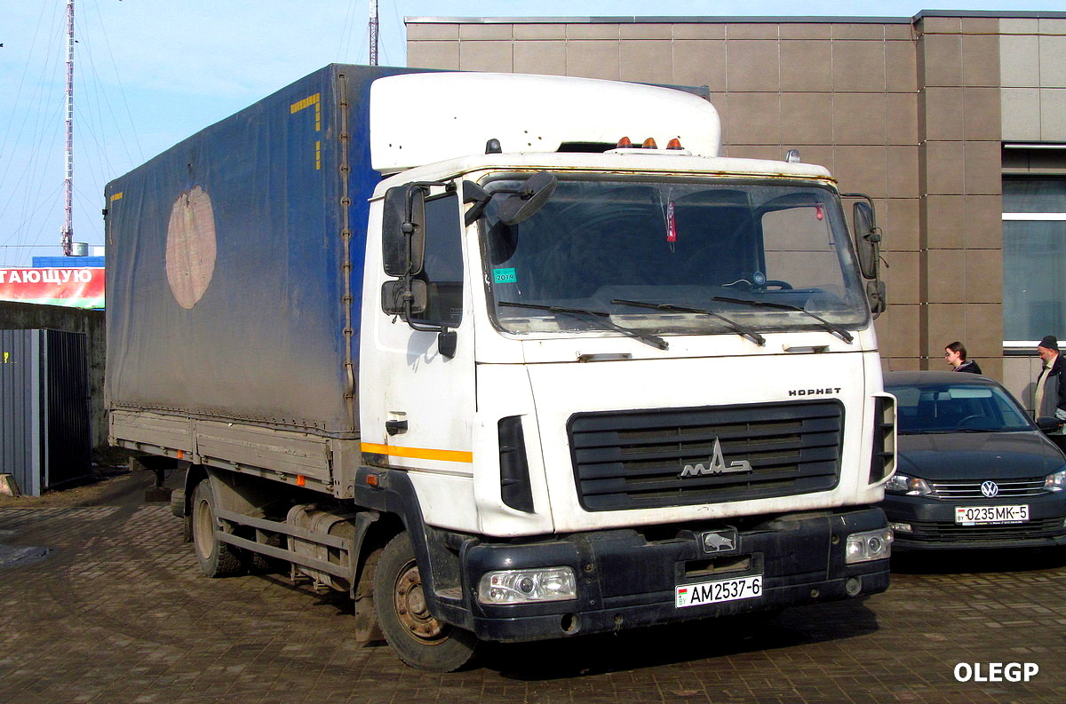 Могилёвская область, № АМ 2537-6 — МАЗ-4371 (общая модель)