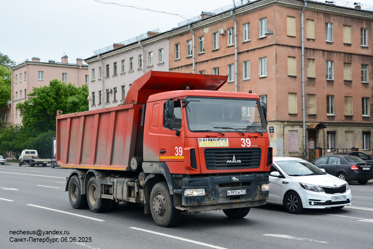 Ленинградская область, № 39 — МАЗ-650128