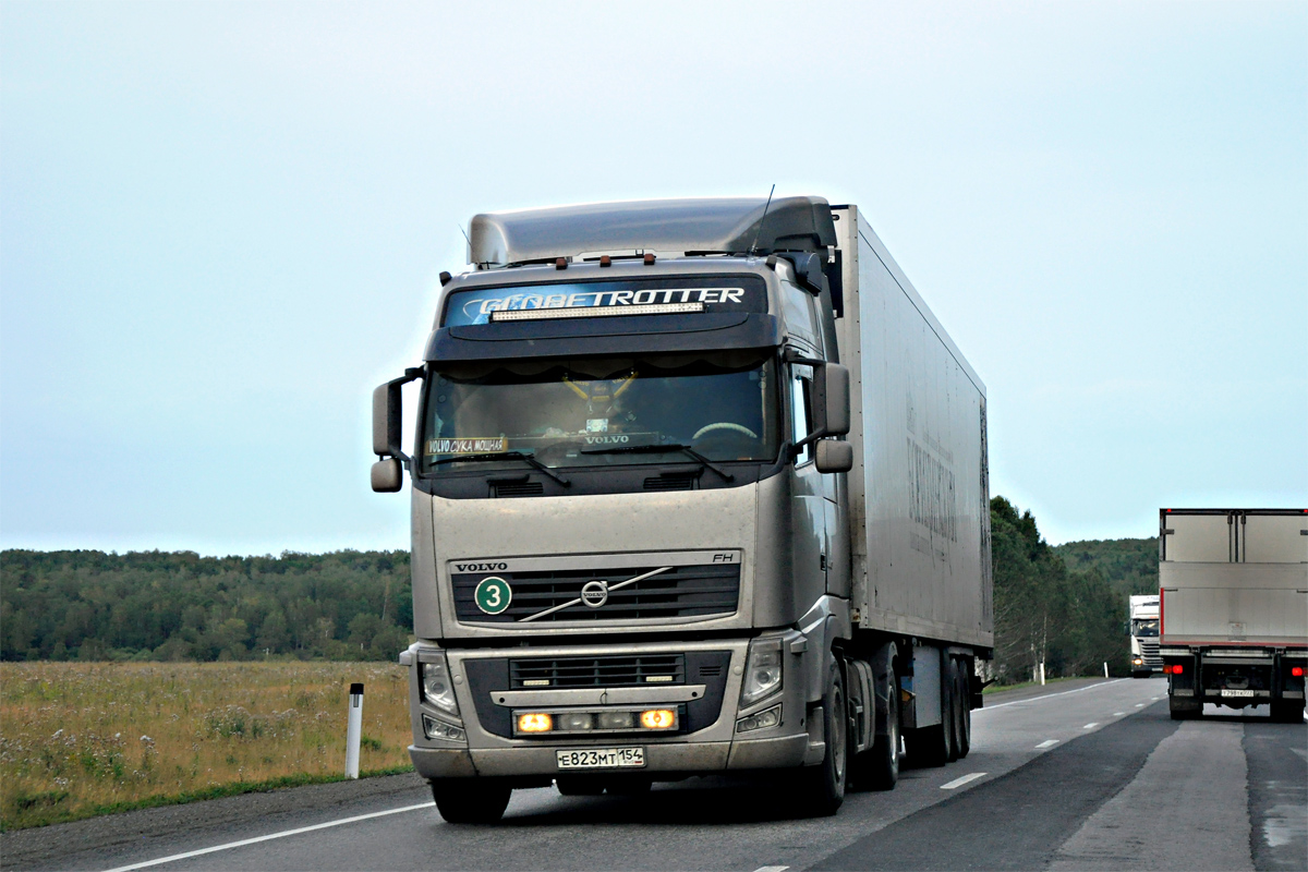 Новосибирская область, № Е 823 МТ 154 — Volvo ('2008) FH.440