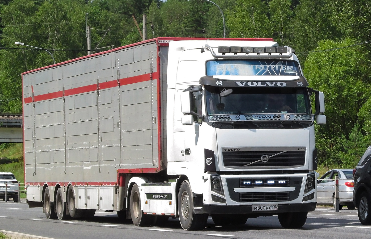 Калужская область, № М 800 КХ 40 — Volvo ('2008) FH.460