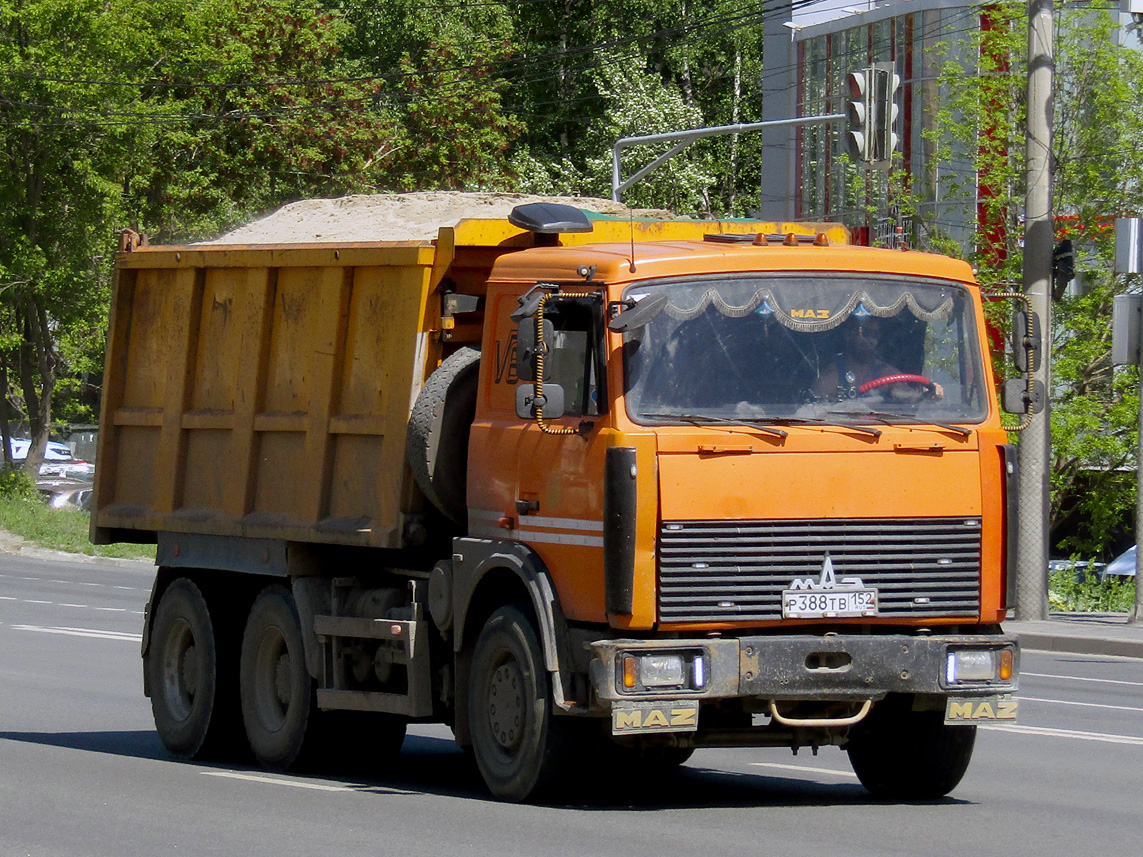 Нижегородская область, № Р 388 ТВ 152 — МАЗ-5516X5