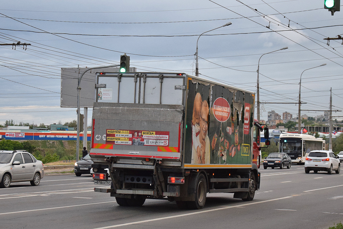 Волгоградская область, № М 818 ОУ 761 — MAN TGM 18.250