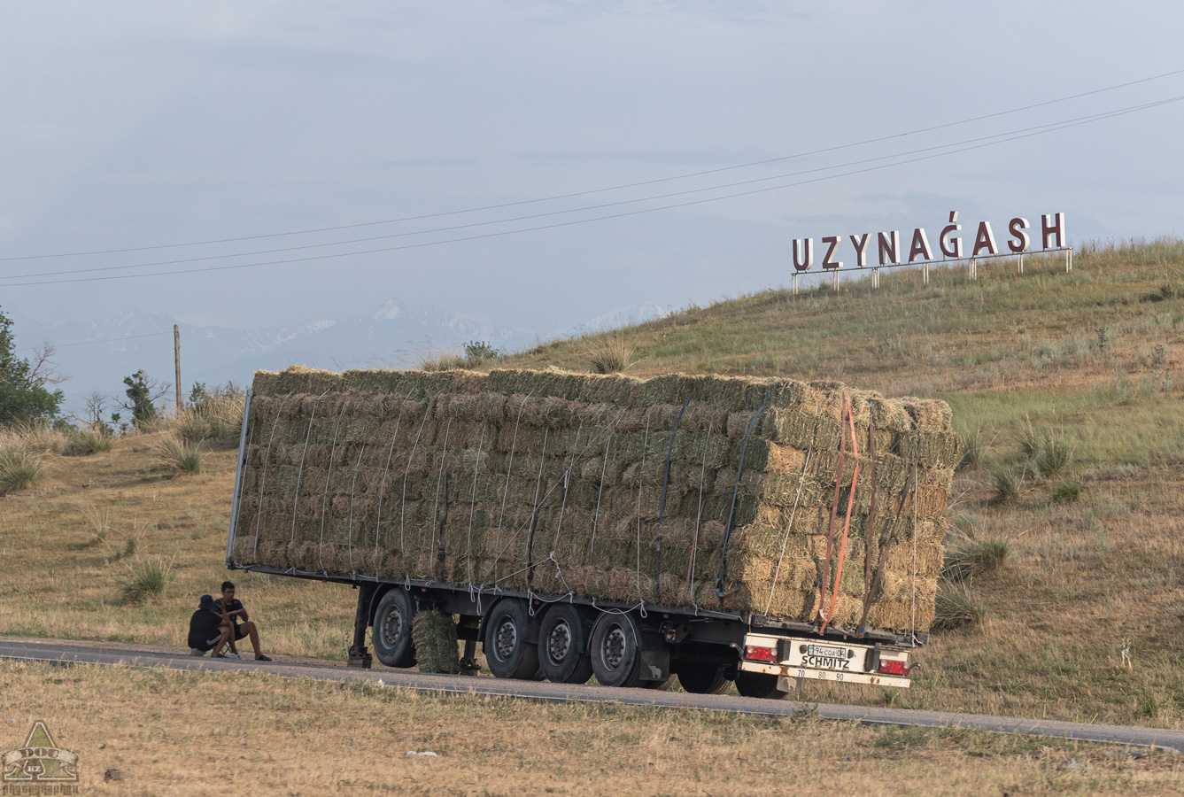 Актюбинская область, № 94 CQA 04 — Schmitz Cargobull S.CS / SCB*S3T / S01