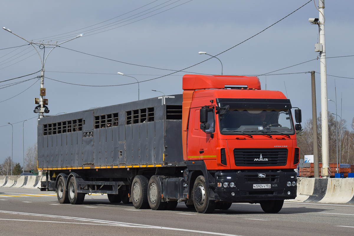 Новосибирская область, № К 593 УУ 154 — МАЗ-6430C9