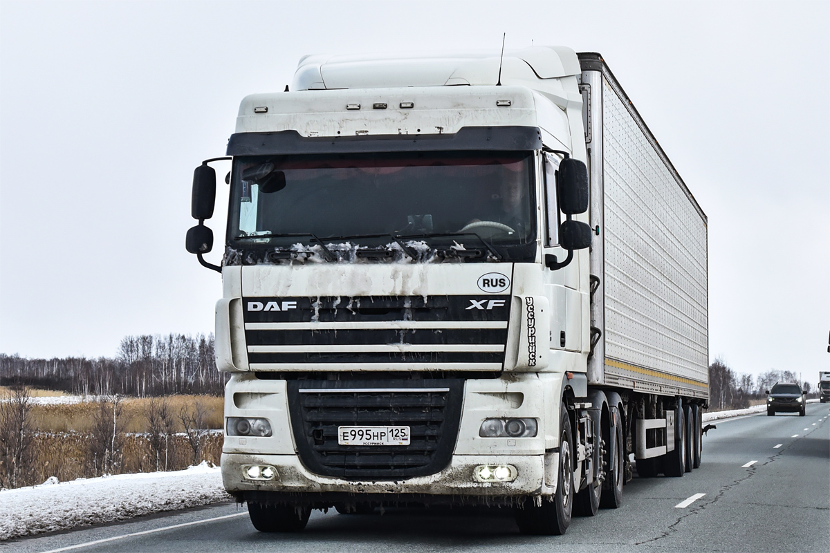 Приморский край, № Е 995 НР 125 — DAF XF105 FTG