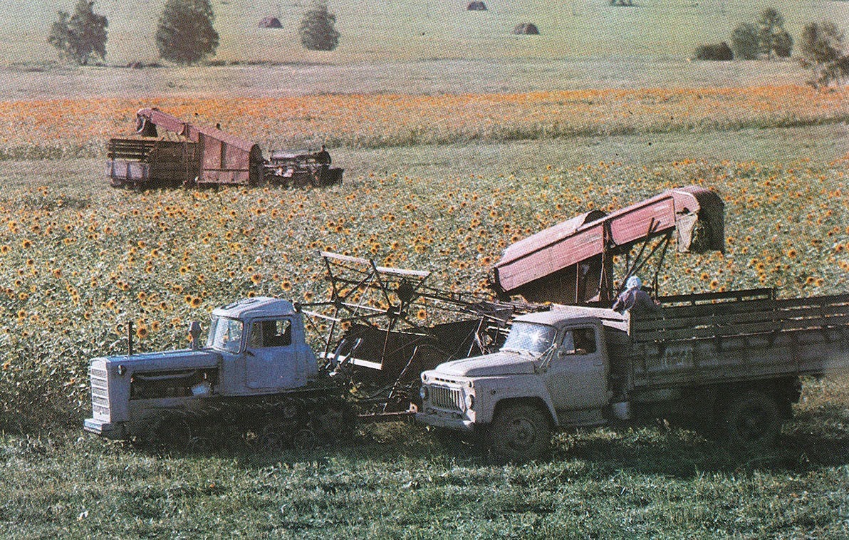 Исторические фотографии (до 2000 года) (Алтай)