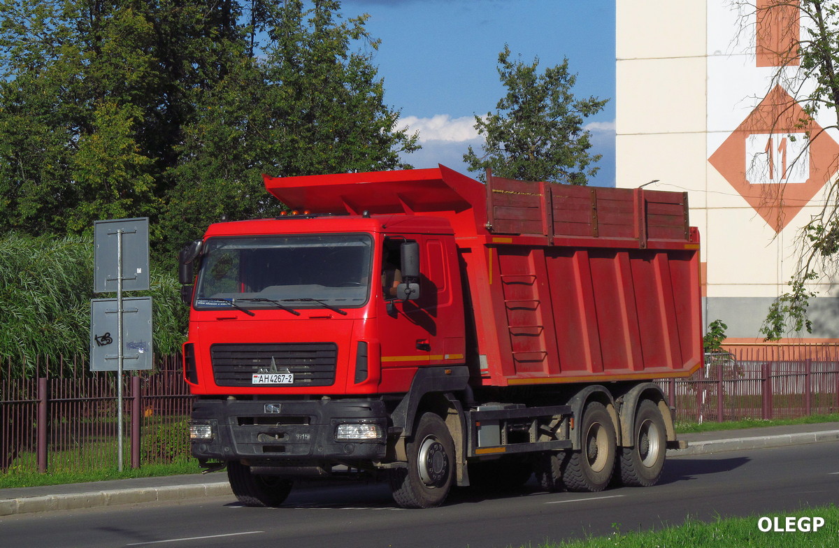 Витебская область, № АН 4267-2 — МАЗ-650128