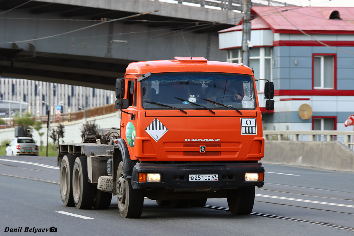 Санкт-Петербург, № В 251 СЕ 47 — КамАЗ-65115 (общая модель)