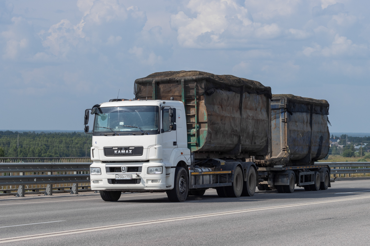Московская область, № Х 250 АТ 550 — КамАЗ-65207-S5(87)